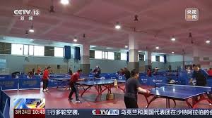 美加墨世界杯官网 初学者用什么乒乓球台好